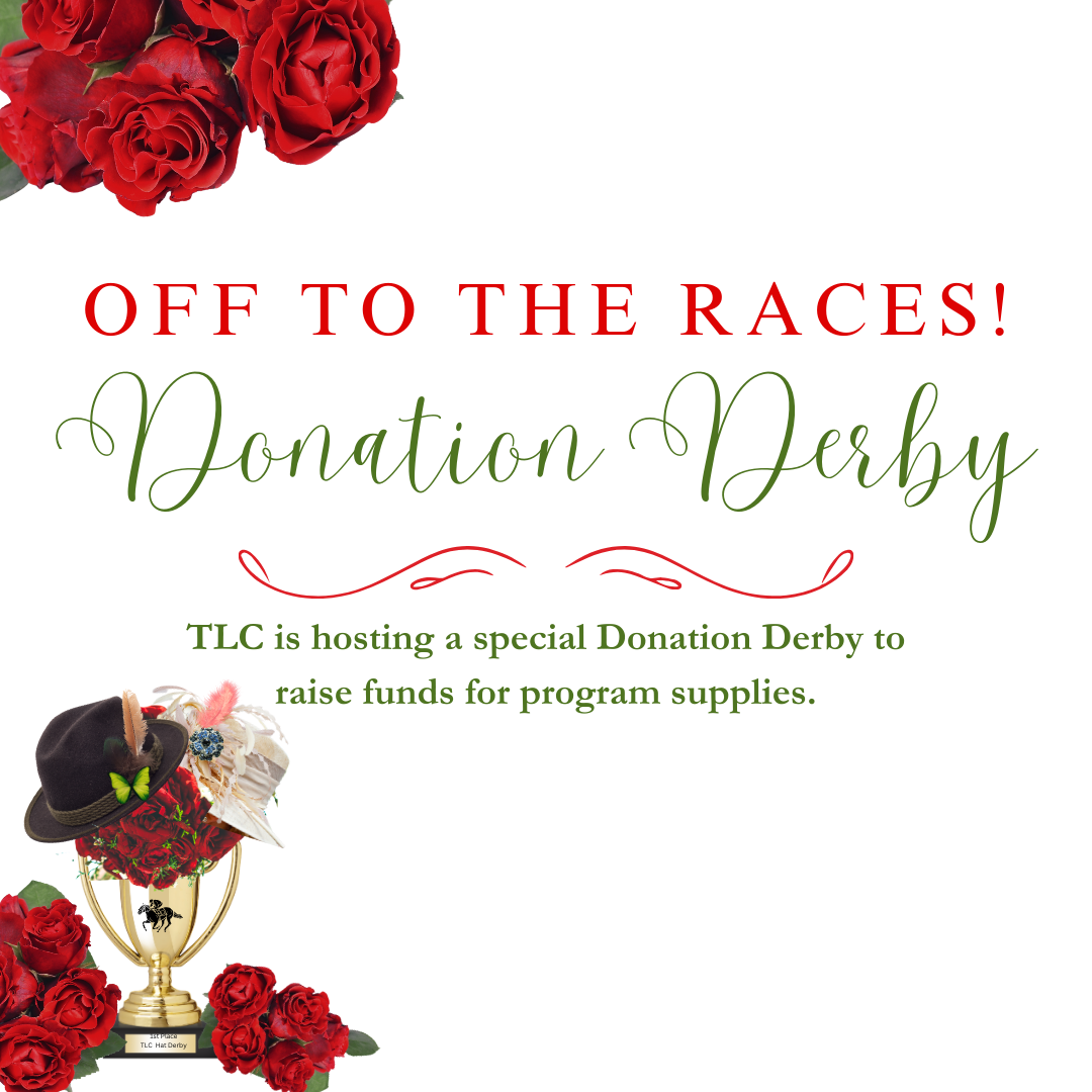 Featured image for “Donation Derby”